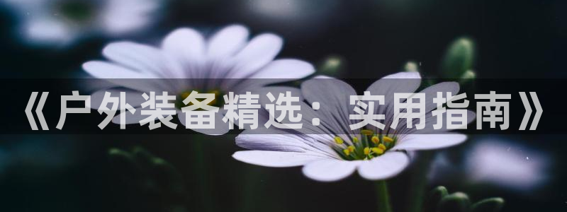 利记官网平台入口