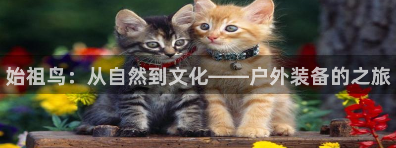 利记坊官网注册