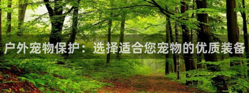 利记官网行业领导者