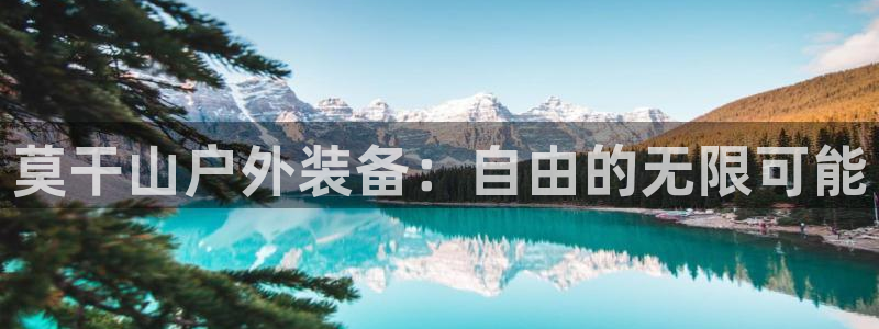 利记官网官方网址