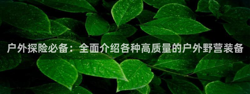 利记官网登录入口