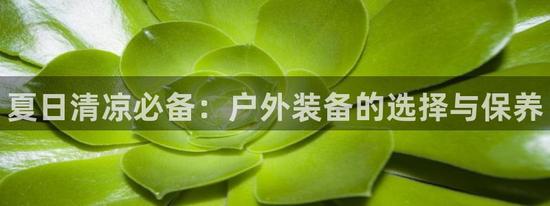 利记彩票平台官网