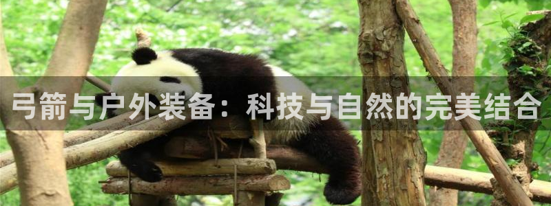 利记彩票导航网址官网hd71