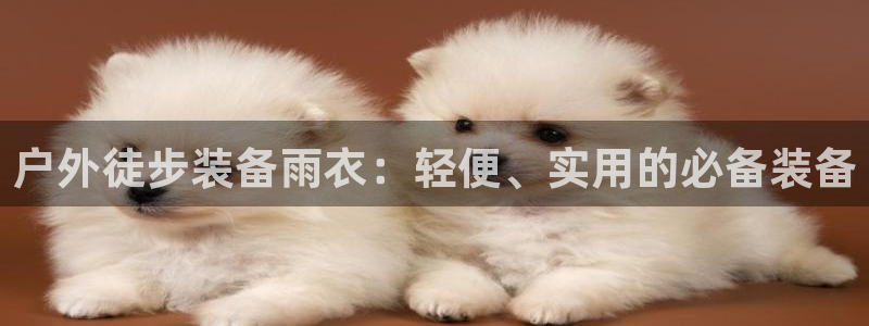 利记国际线址官网