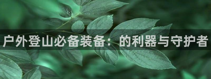 利记彩票官网hd71