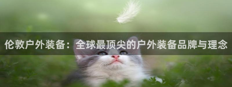 利记体育投注官网